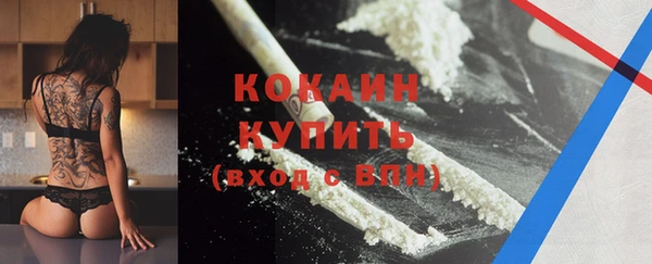 мдпв Тайга