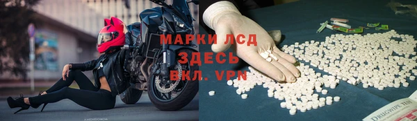 ГАЛЛЮЦИНОГЕННЫЕ ГРИБЫ Богородицк
