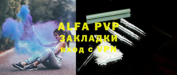 твердый Сясьстрой