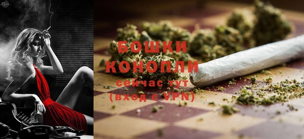 гашик Богданович