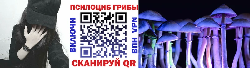 Псилоцибиновые грибы Magic Shrooms  Бугульма 